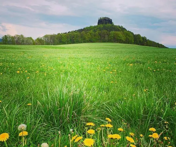 Sandsteinwandblick Apartment *